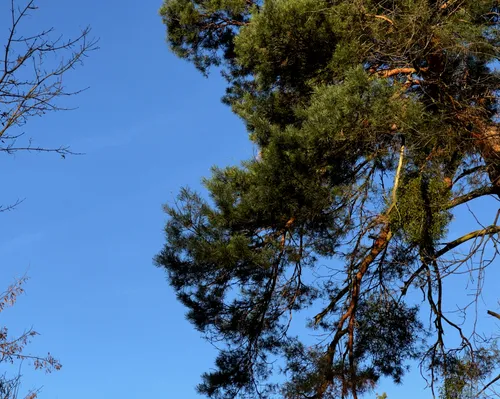 I wish the milk man would deliver my milk, when I'm yawning